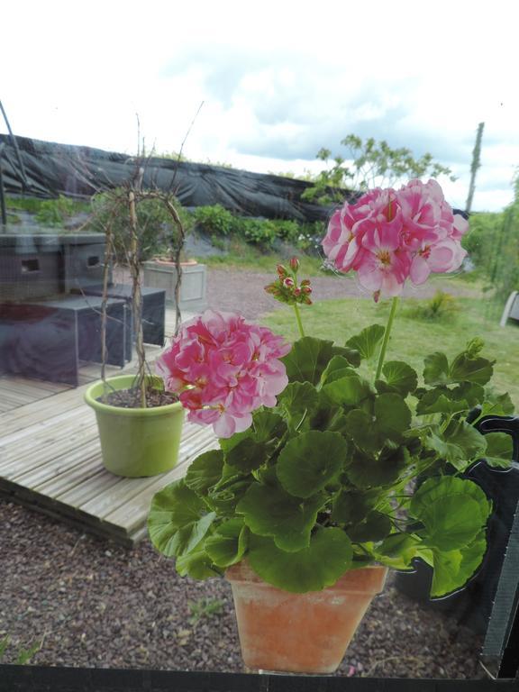 Villa Des Hortensias Paimpol Exteriér fotografie